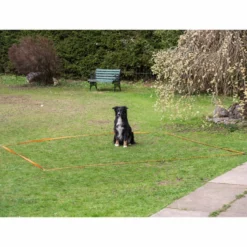 Obedience Starter-Set 6 Obedience Starter-Set -Haustierzubehör Geschäft obedience start set anwendung procyon 7030363