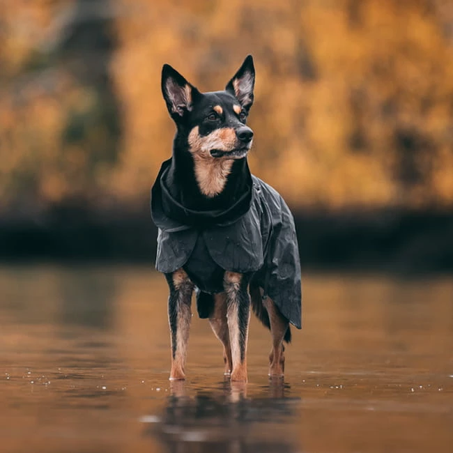 PAIKKA Visibility Raincoat Dark 2 PAIKKA Visibility Raincoat Dark – Bild 2