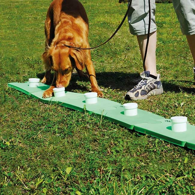 SniffleDog Classic Set Grün 2 SniffleDog Classic Set Grün – Bild 2