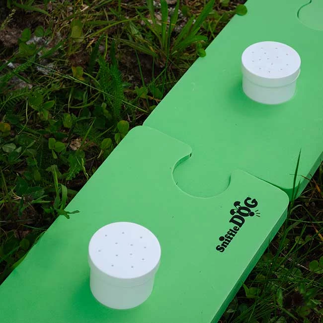 SniffleDog Classic Set Grün 3 SniffleDog Classic Set Grün – Bild 3