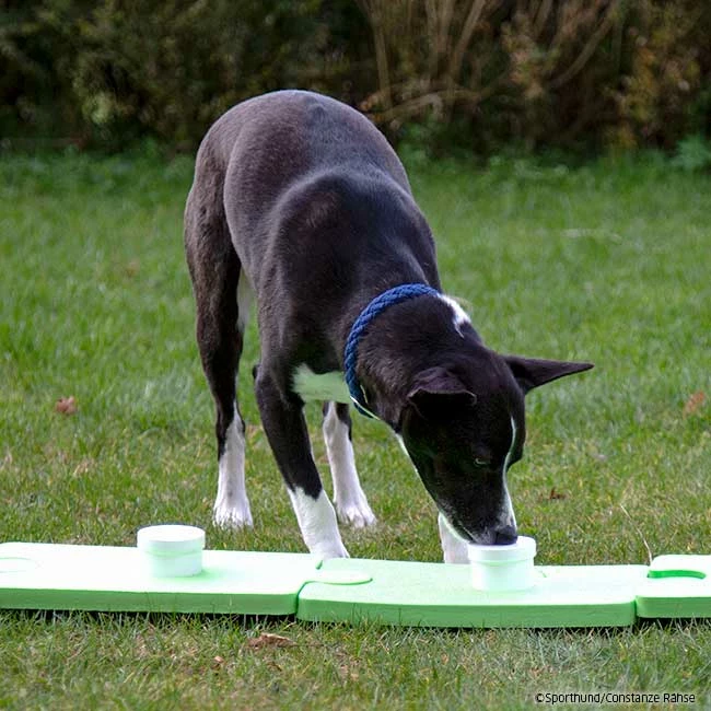 SniffleDog Classic Set Grün 4 SniffleDog Classic Set Grün – Bild 4