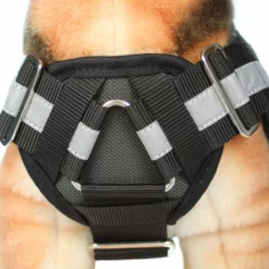 Sporthund Arbeitsgeschirr -Haustierzubehör Geschäft sporthund arbeitsgeschirr detail vorne 7021881v404MOGi5Fs5Y