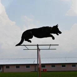 Sporthund Hürdenaufsatz 7 Sporthund Hürdenaufsatz -Haustierzubehör Geschäft sporthund huerdenaufsatz erweiterung hund 7355031UbOBnR8LB22N9