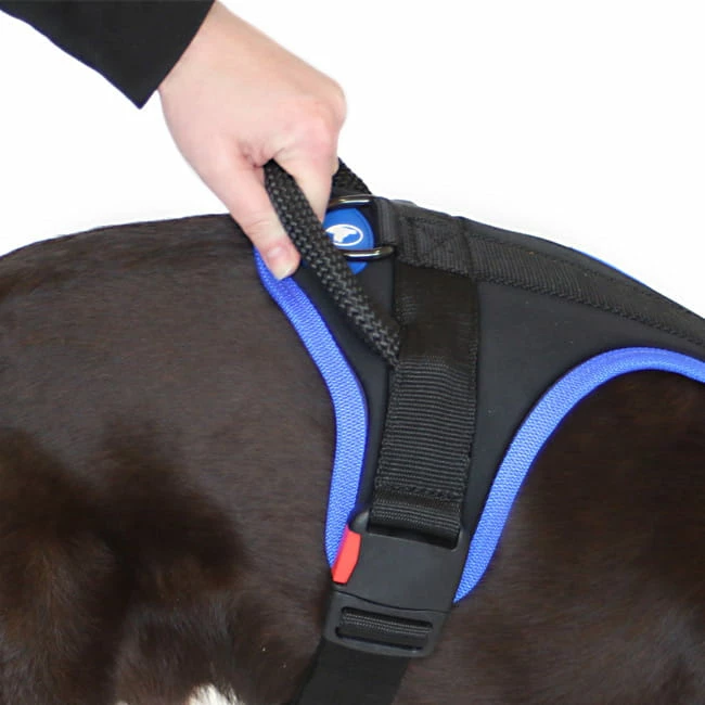 Sporthund Nylon Geschirr 3 Sporthund Nylon Geschirr – Bild 3