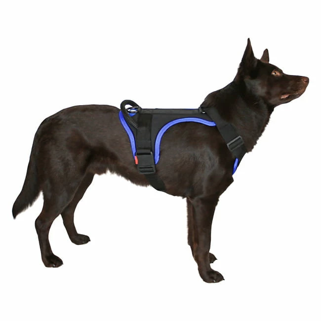 Sporthund Nylon Geschirr 1 Sporthund Nylon Geschirr