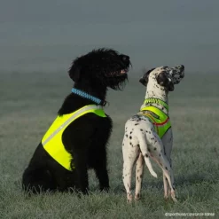 Visupart Hundebody Standard Signalgelb -Haustierzubehör Geschäft visupart hundebodystandard crt 7999 4598095zzGa4OOjbC27B