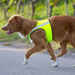Visupart Hundebody Standard Signalgelb -Haustierzubehör Geschäft weste standard visupart hundebody hundebild 4598099mtZiIhqtauHzCt